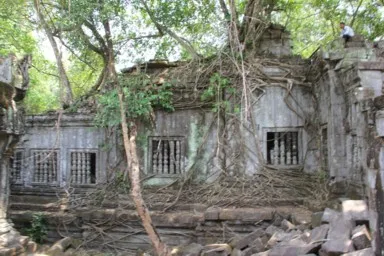 ベンメリアの遺跡が崩れてきれいな小山になった姿