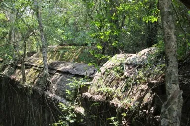 ベンメリアのジャングルの木々が遺跡を守っているように見える風景