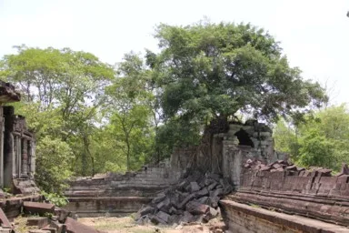 ラピュタの世界を思わせる巨大な1本の木とベンメリアの遺跡