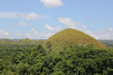 ボホール島の抹茶色に見えるチョコレートヒルの風景