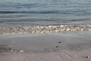 パングラオ島の夕暮れのオレンジに染まる波際